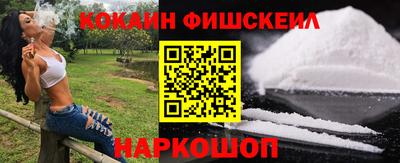 крисы Кулебаки
