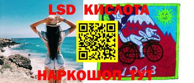 крисы Кулебаки