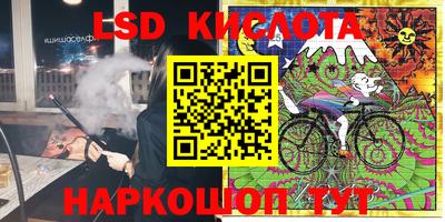 крисы Кулебаки