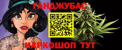 крисы Кулебаки