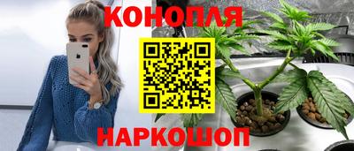 круглые Лесосибирск
