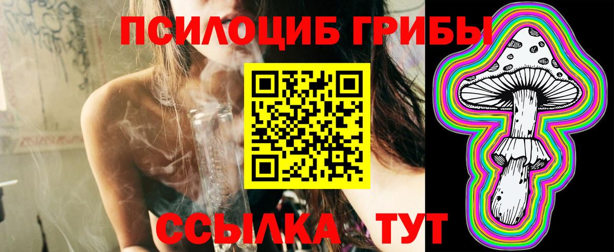 Галлюциногенные грибы Psilocybine cubensis  Галлюциногенные грибы мицелий  Вход с VPN  Фролово 